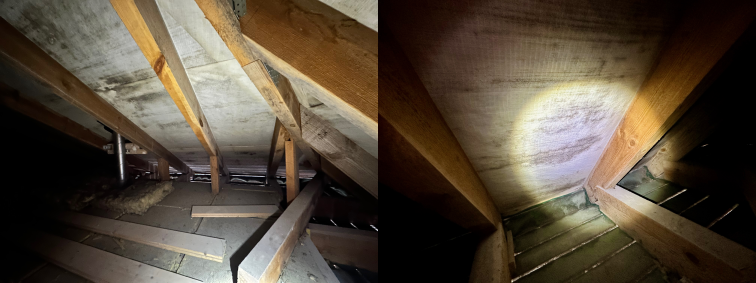 Hallituse levik katuse aluskattel – sage nähtus ebapiisava tuulutusega pööningutel, kus kondensatsioon ja niiskus püsivad pikemat aega.